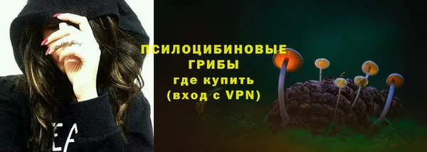 2c-b Алзамай