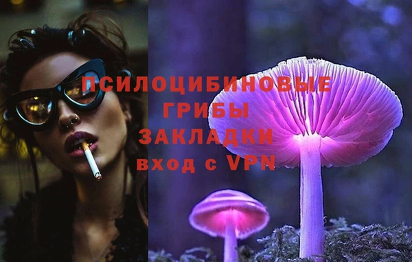 2c-b Алзамай