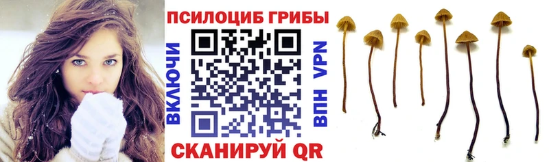 Галлюциногенные грибы MAGIC MUSHROOMS кракен как зайти Клин сколько стоит