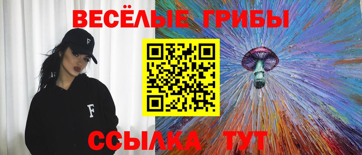 Клин  магазин    Вход с VPN  Псилоцибиновые грибы ЛСД  Псилоцибиновые грибы Psilocybe 